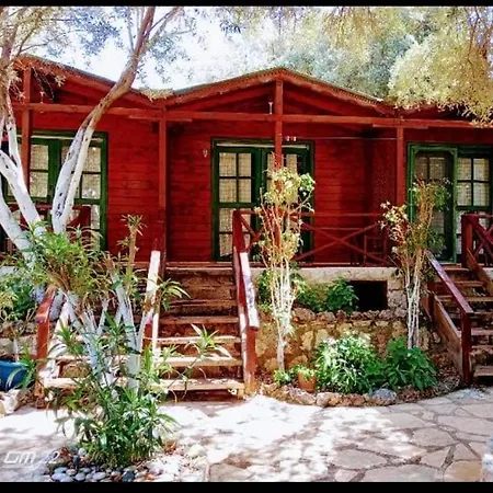 Efe * Kaş