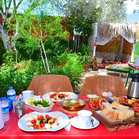 Hotel Efe *